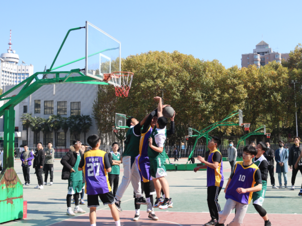 12.png 图片